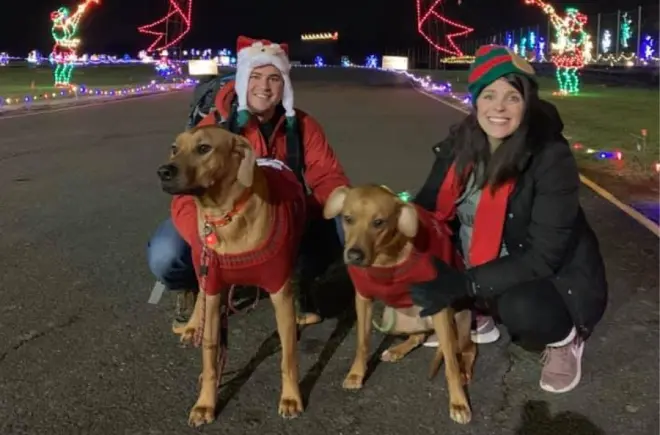 Happy Couple Pose with Two Dogs at Winter Wonderland's Lights and Leashes Dog Walk