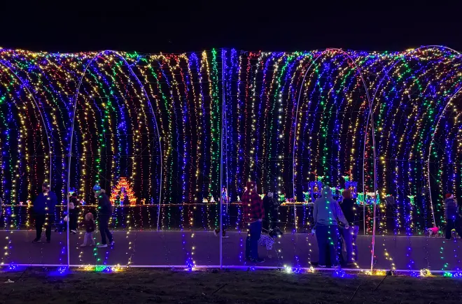 Portland Residents with Dogs Enjoy the Holiday Lights at Winter Wonderland's Lights and Leashes Dog Walk