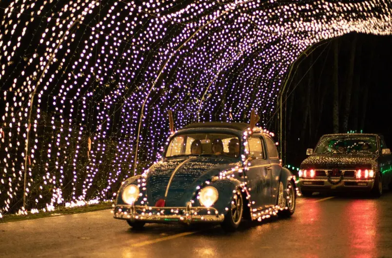 Cars Drive Through the Lights Tunnel at Winter Wonderland