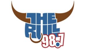 the bull logo web 2